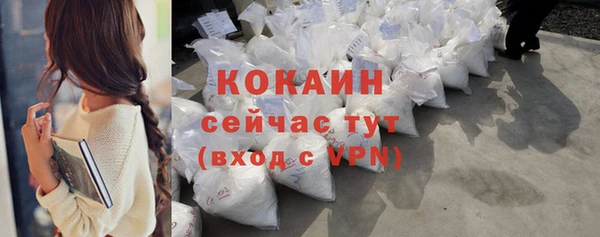прущие грибы Богородицк
