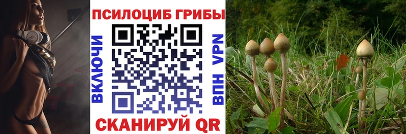 хочу   Кущёвская  Псилоцибиновые грибы мухоморы 